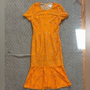 Anthropologie/Rachel Parcell Fitted Lace Midi Dress